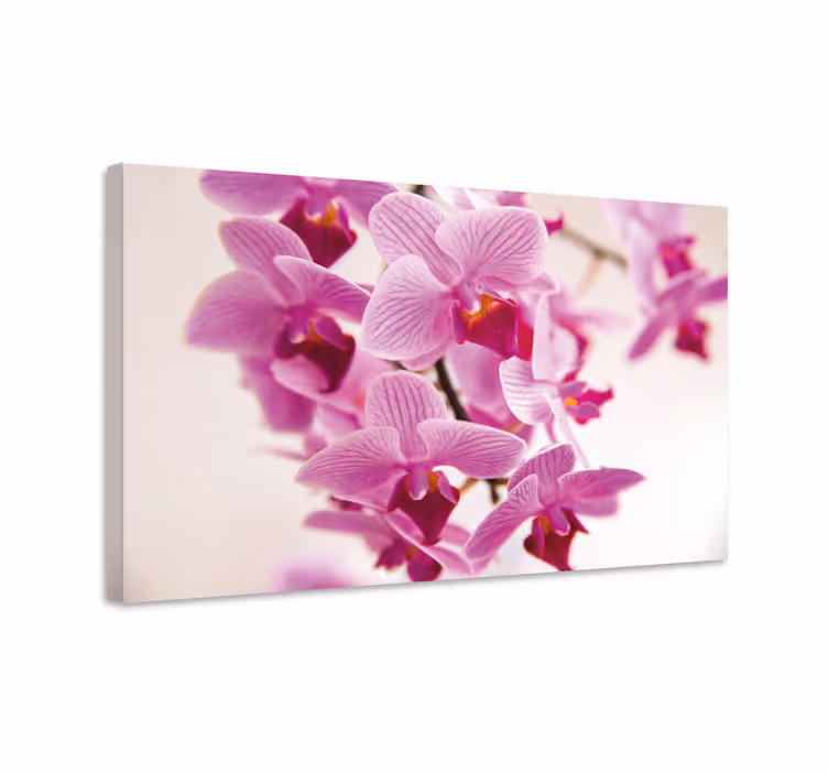 Strålende orkide blomster lerret - Tenstickers