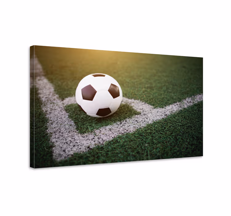 Nydelig fotball på gress sport lerretsbilde - Tenstickers