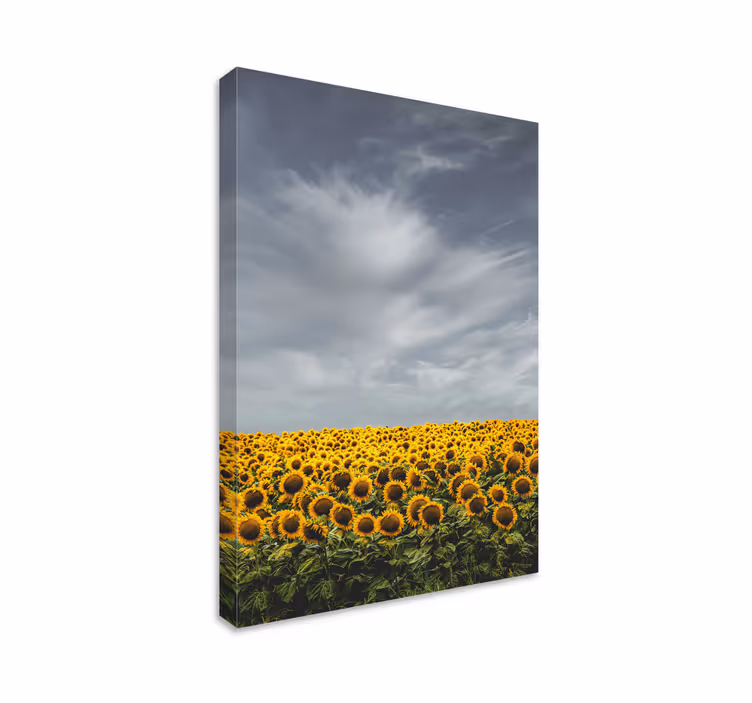 Langt solsikke feltblomst lerret - Tenstickers