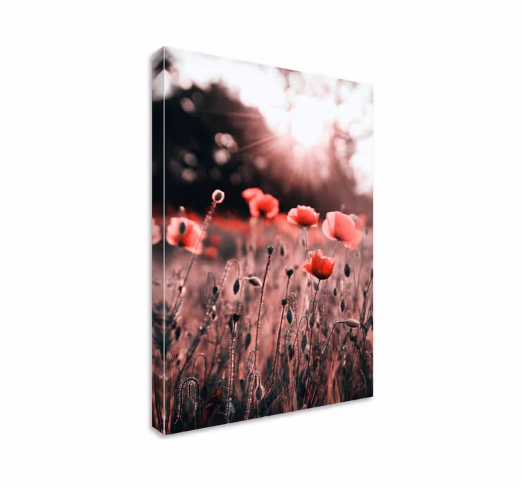 Blomst lerretsbilde valmueengens glød - Tenstickers
