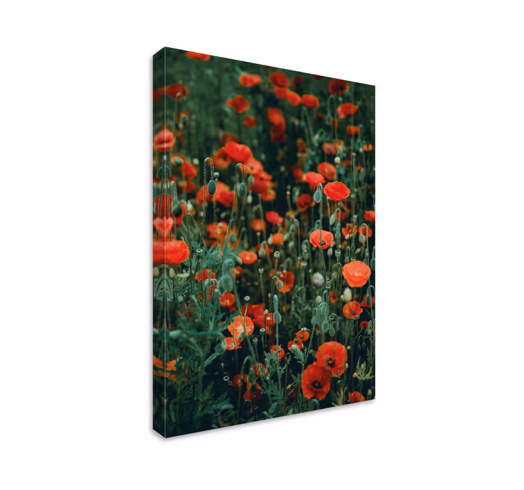 Blomst lerretsbilde rødt villblomsterfelt - Tenstickers
