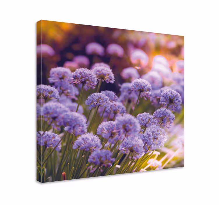 Lilla blomst felt blomst lerret - Tenstickers