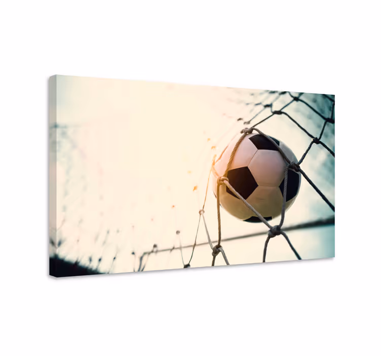 Fotball i nett kerretsbilde fisk - Tenstickers