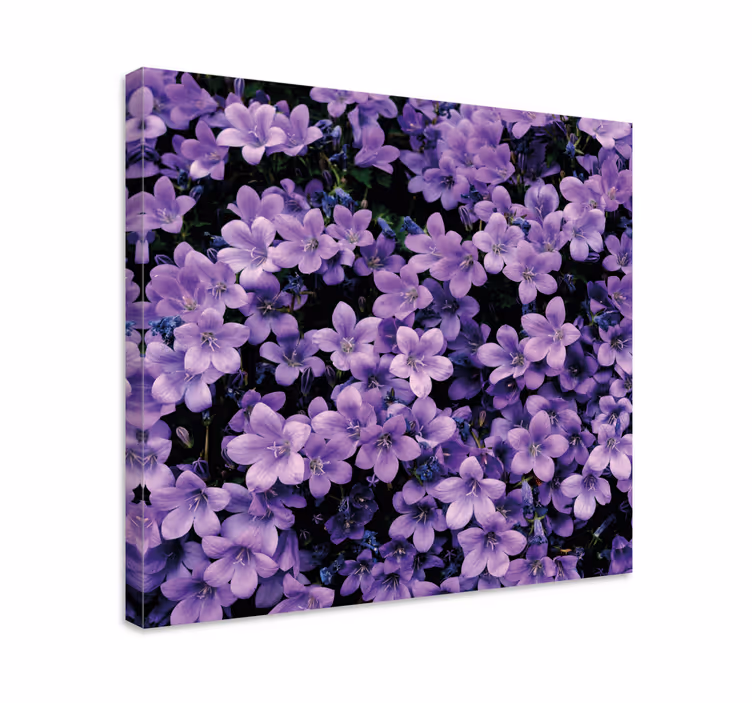 Vage lilla blomster lerretsbilde blomster - Tenstickers