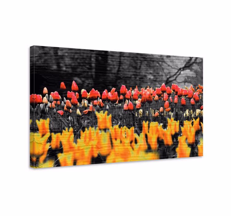 Forskjellige blomsterfelt lerretsbilde blomster - Tenstickers