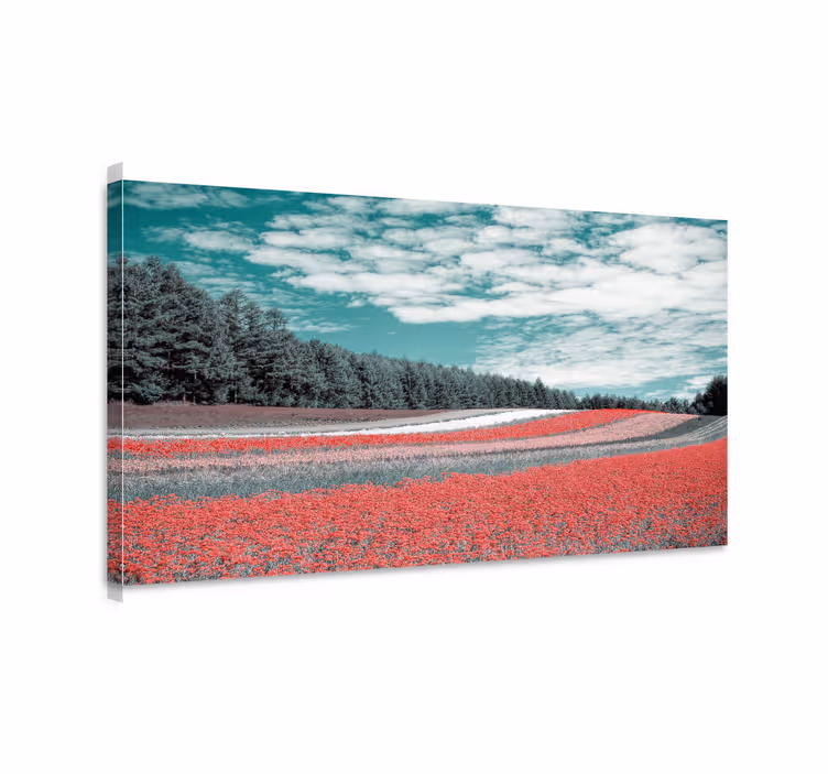 Landskaps lerretsbilde livlig blomstereng - Tenstickers