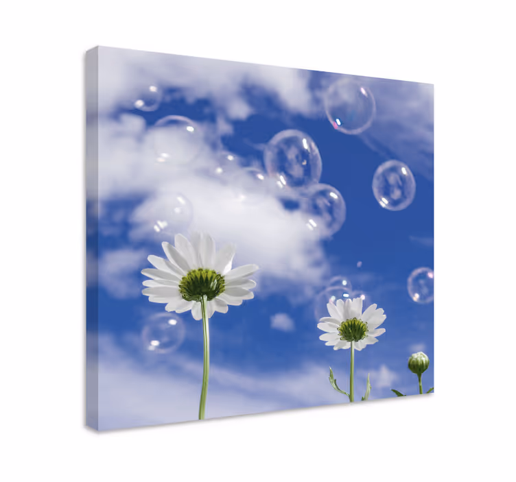 Tusenfryd og bobler blomst lerretsbilde - Tenstickers