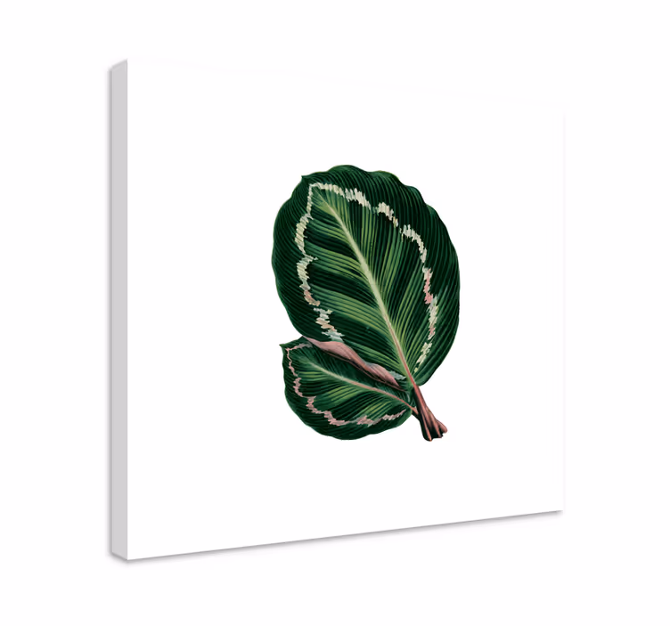 Blomst lerretsbilde stort bladdesign - Tenstickers