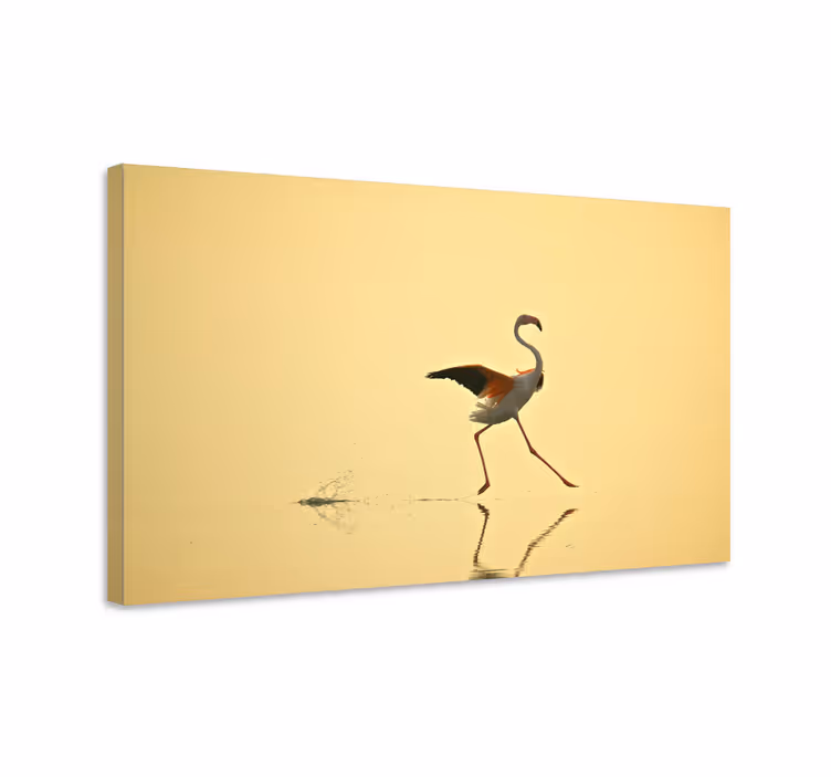 Elegant flamingodans fugle lerretsbilde - Tenstickers