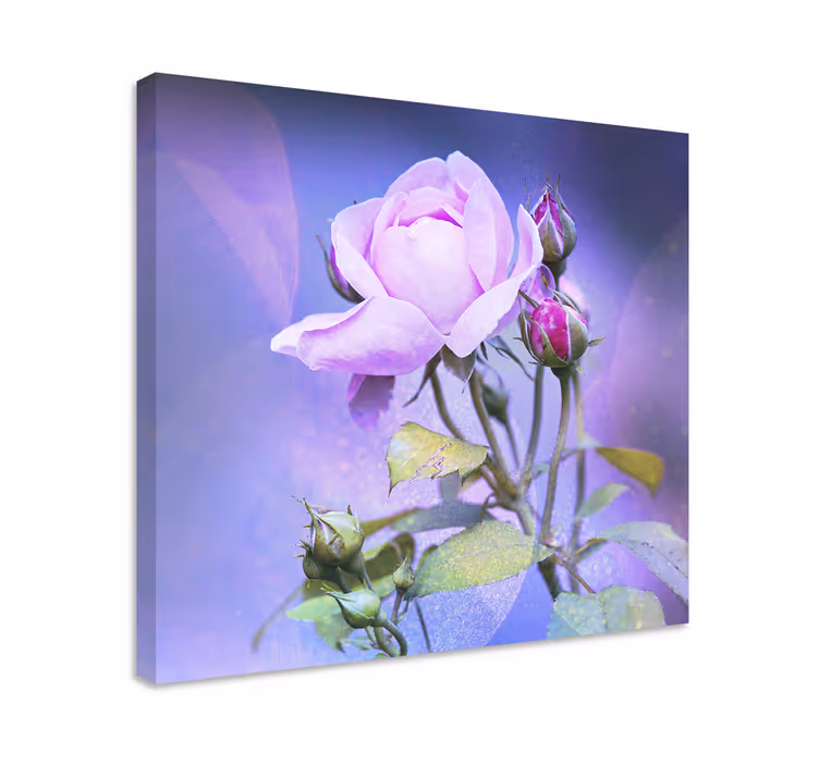 Rosa hageroser lerretsbilde blomster - Tenstickers