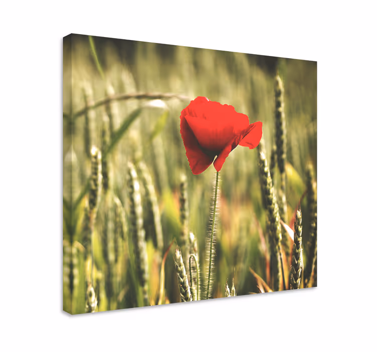 Rød blomstring blomst lerretsbilde - Tenstickers