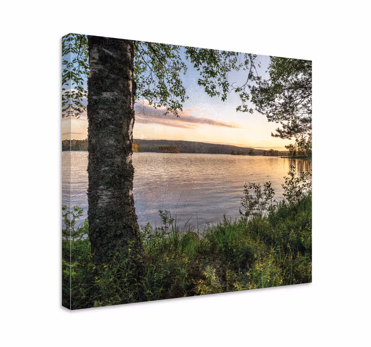 Landskaps lerretsbilde rolig innsjø solnedgang - Tenstickers