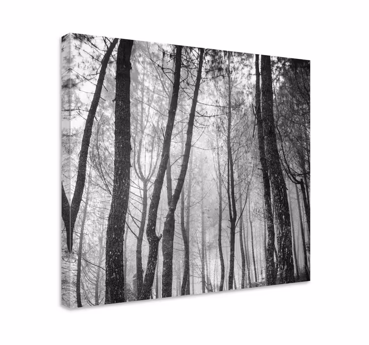 Tåkete skog ovenfra lerretsbilde landskap - Tenstickers