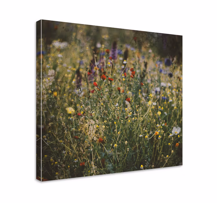 Blomster felt lerretsbilde blomster - Tenstickers