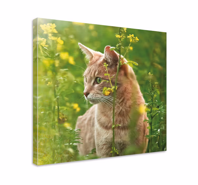 Søt katt i et blomsterrom lerretsbilde blomster - Tenstickers