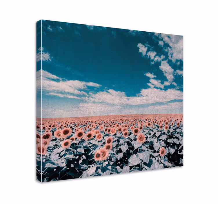 Solsikkefelts horisont blomst lerretsbilde - Tenstickers