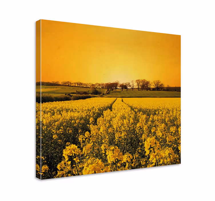 Gule blomster felt lerretsbilde blomster - Tenstickers