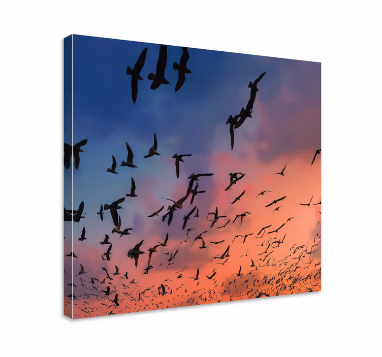 Fugle lerretsbilde flock of birds - Tenstickers