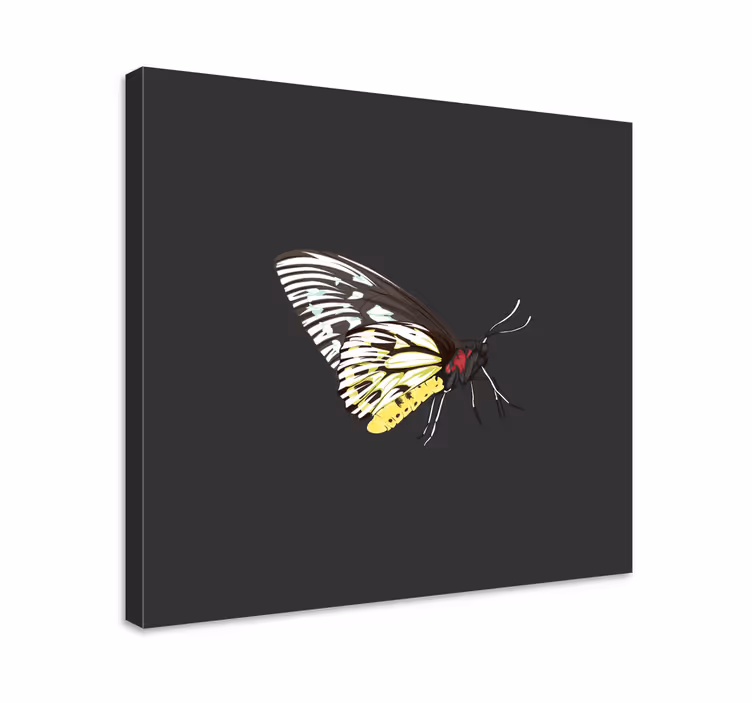 Lerretsbilde sommerfugl elegant profil - Tenstickers
