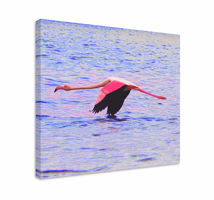 Fisk lerretsbilde flamingo i flukt - Tenstickers