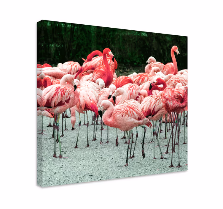 Flamingo flokk fugle lerretsbilde - Tenstickers