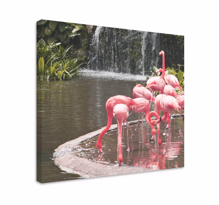 Flamingo flokk ved bassenget fugle lerretsbilde - Tenstickers