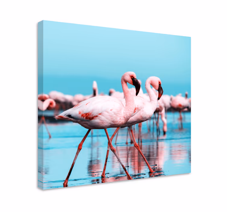 Fugle lerretsbilde majestetiske rosa flamingoer - Tenstickers