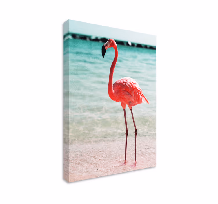 Elegant flamingo positur fugle lerretsbilde - Tenstickers