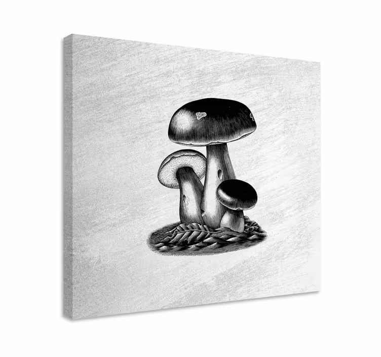 Blomst lerretsbilde sopp trio - Tenstickers