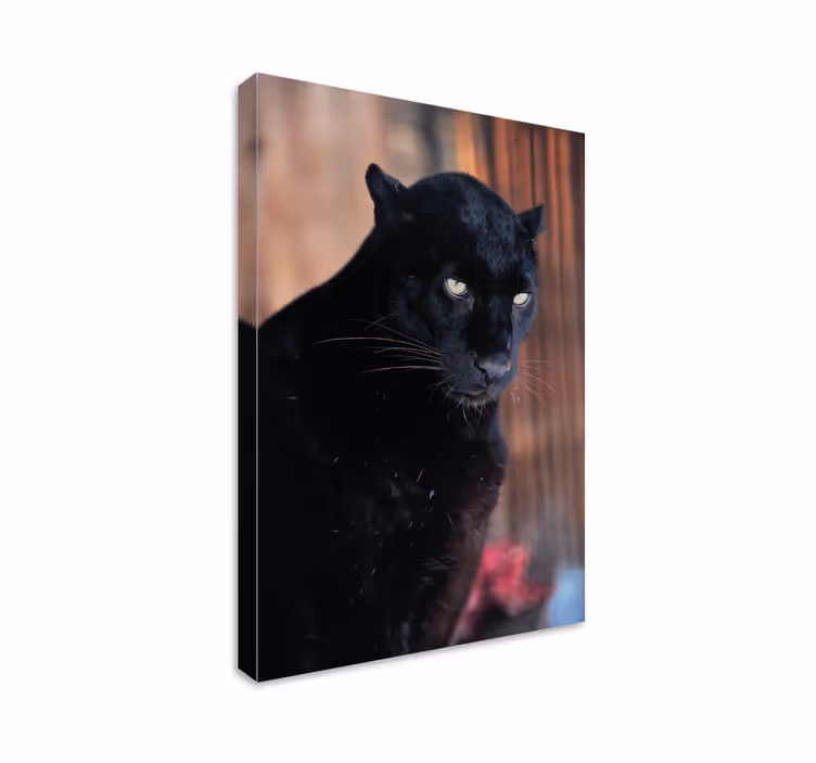 Leopard stalking lerretsbilde 3d - Tenstickers