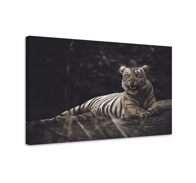 Dyr lerretsbilde majestetisk tiger hviler - Tenstickers