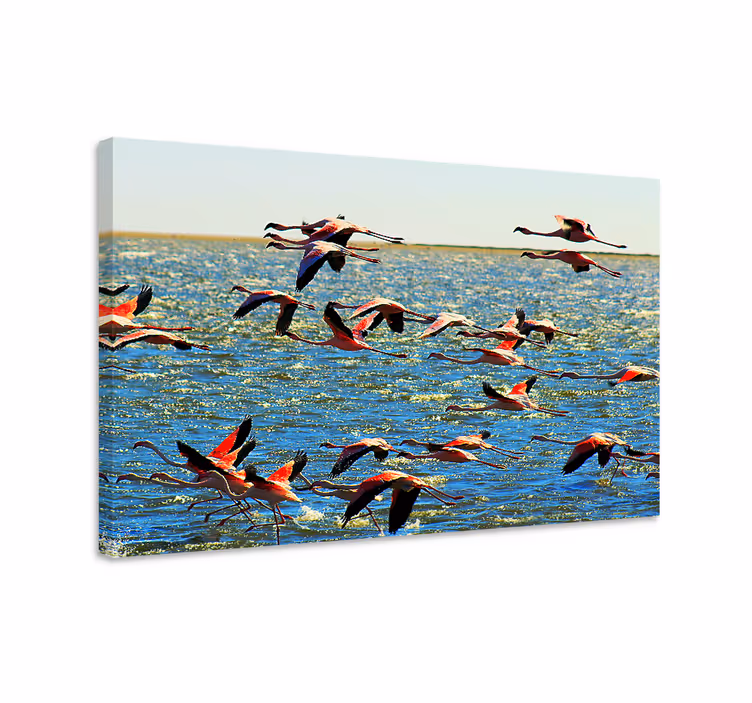 Fugle lerretsbilde flamingoer i flukt - Tenstickers