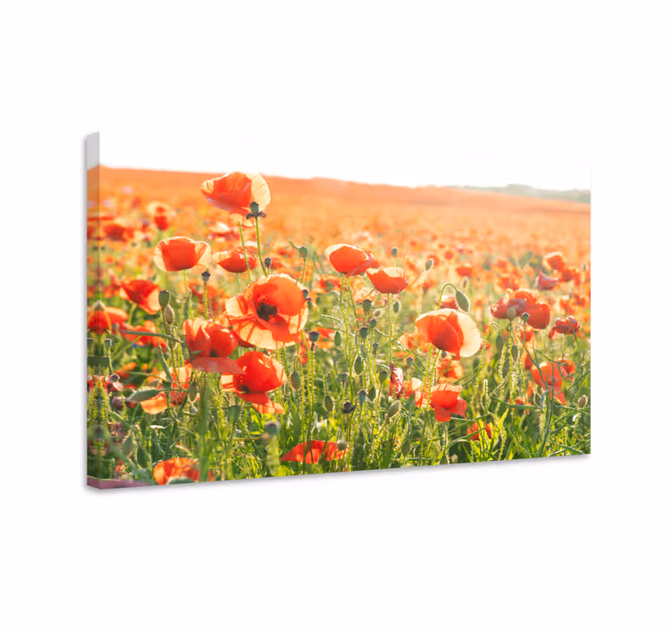 Blomst lerretsbilde blomstereng med valmuer - Tenstickers