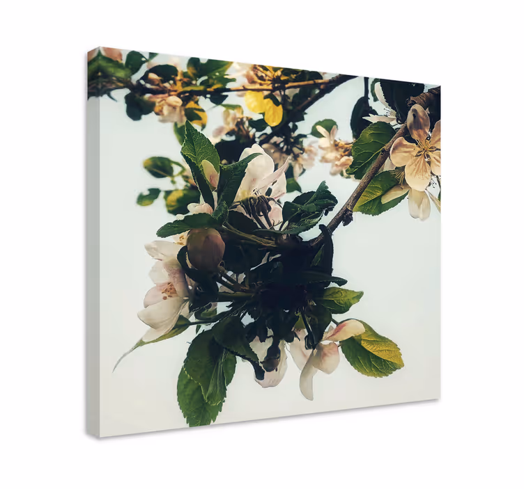 Blomst lerretsbilde med blomstrende eplegren - Tenstickers