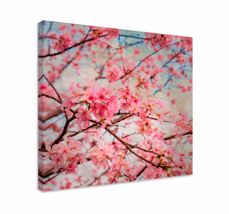 Blomst lerretsbilde kirsebærblomster - Tenstickers