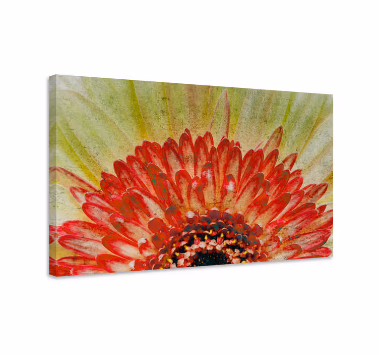 Vibrant flower detail blomst lerretsbilde - Tenstickers