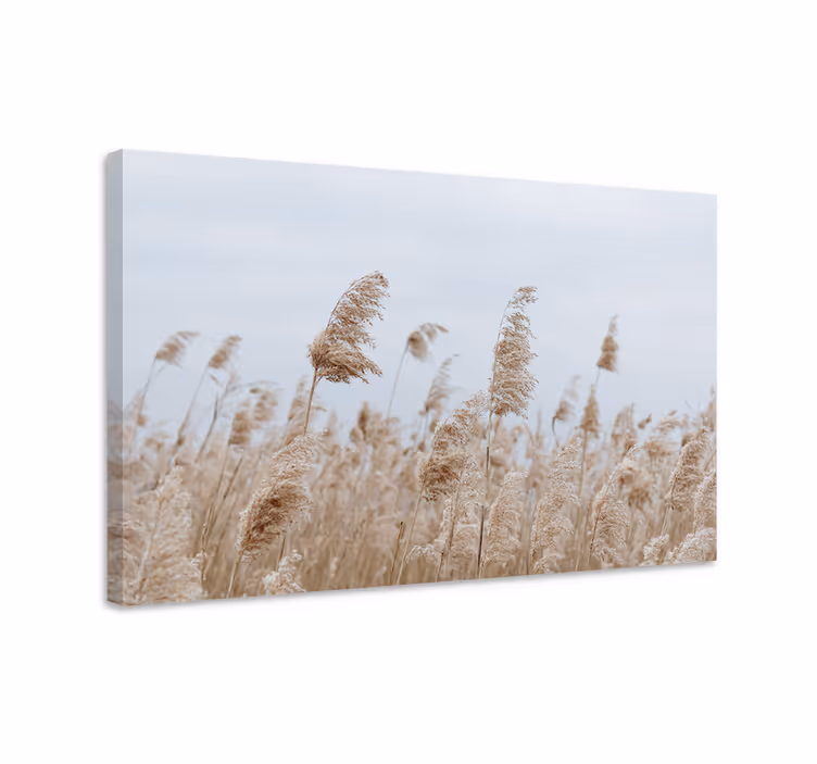 Blomst lerretsbilde myk gressbrise - Tenstickers