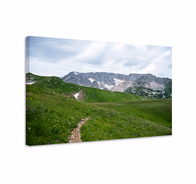 Landskaps lerretsbilde roende fjellsti - Tenstickers