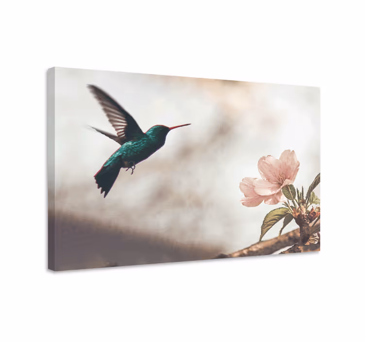 Fugle lerretsbilde kolibri og blomster - Tenstickers
