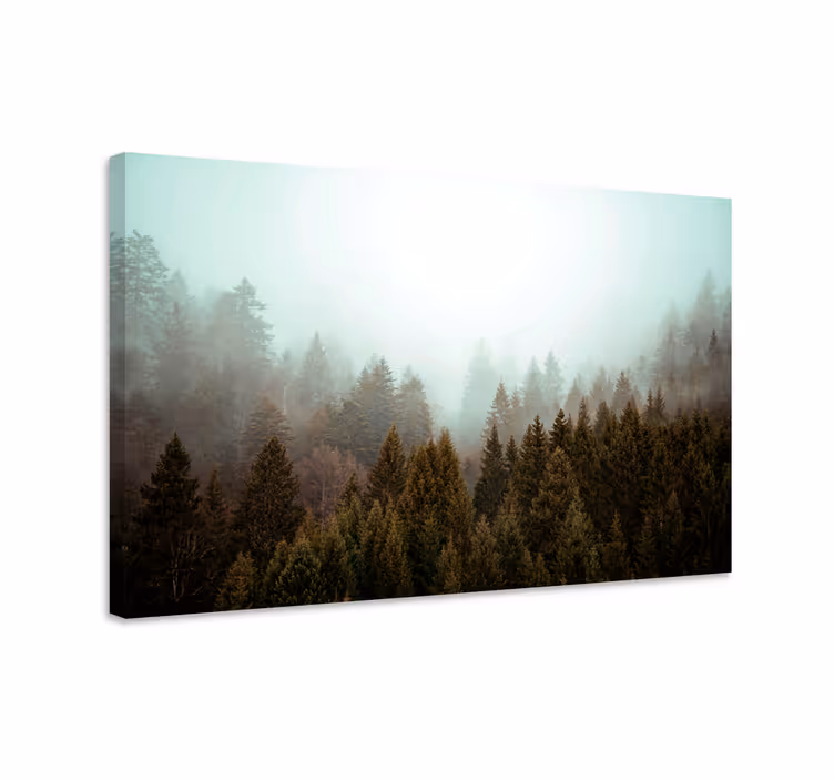 Landskaps lerretsbilde tåkete skogutsikt - Tenstickers