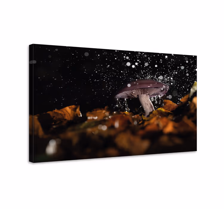 Blomst lerretsbilde sopp sprut - Tenstickers