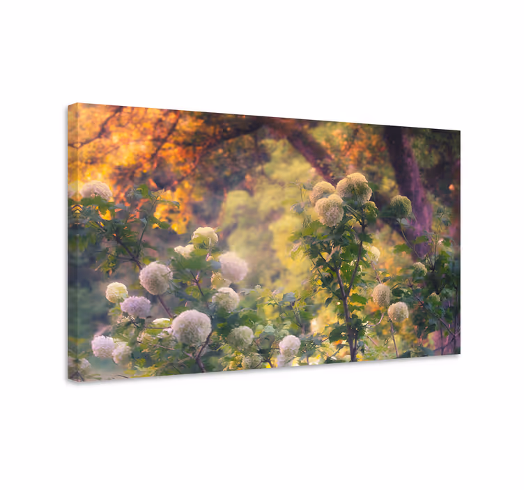 Blomst lerretsbilde engblomster i flor - Tenstickers