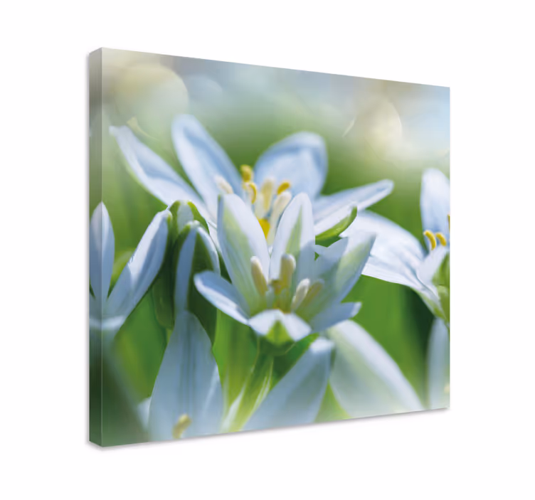 Eng av praktfulle snøklokker lerretsbilde blomster - Tenstickers