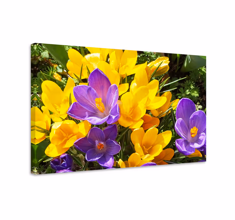 Blomst lerretsbilde fargerike vårblomster - Tenstickers