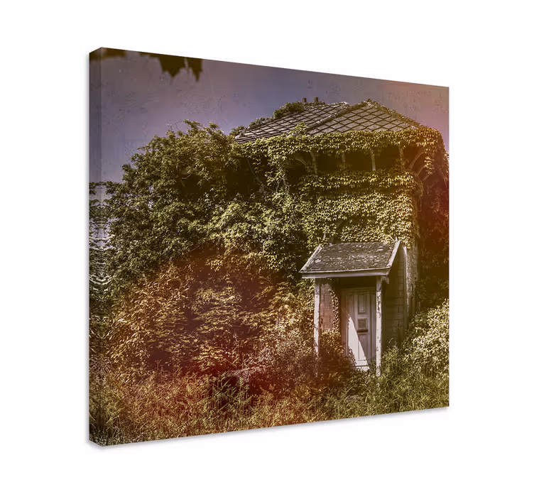 Cottagecore naturhus Lerretsbilde planter - Tenstickers