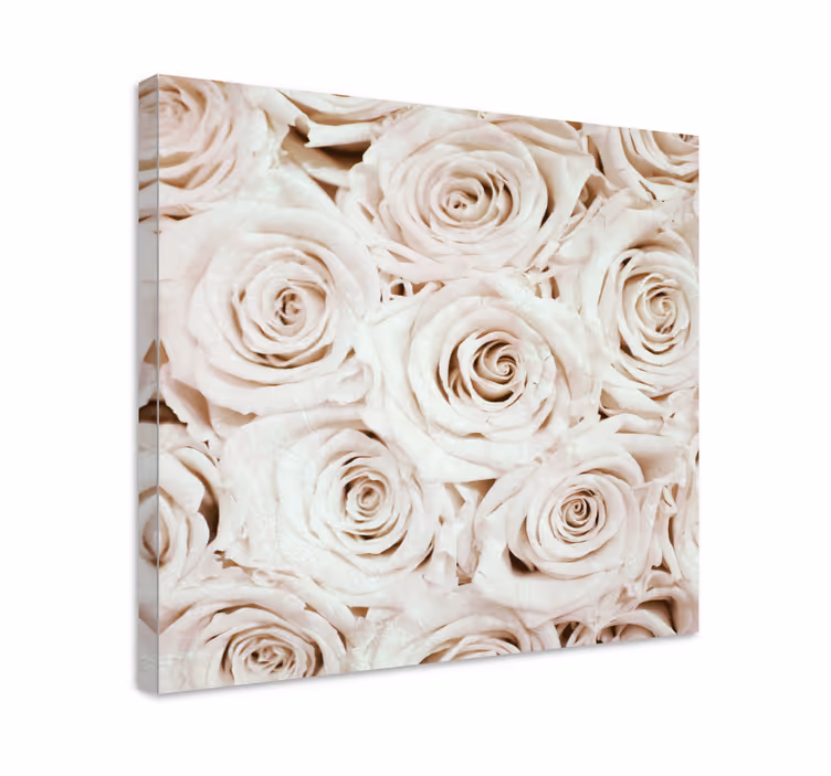 Blomst lerretsbilde mild rose blossom - Tenstickers