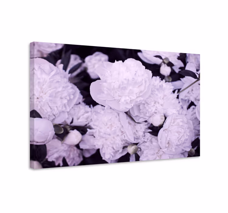 Blomst lerretsbilde lilla pionblomster - Tenstickers
