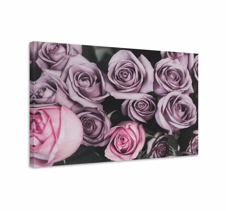 Rosa roser design lerretsbilde blomster - Tenstickers