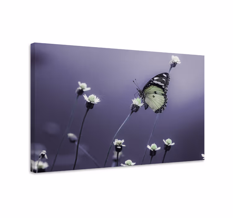 Lerretsbilde sommerfugl blant blomster - Tenstickers
