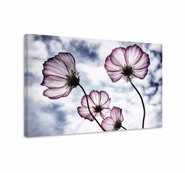 Elegant lilla kosmos blomsterdesign lerretsbilde blomster - Tenstickers